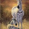 Wild Zebras Paint By Numbers