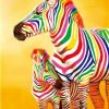Colorful Zebras Paint By Numbers