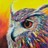 Colorful Owl Paint By Numbers