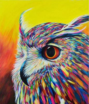 Colorful Owl Paint By Numbers - Numeral Paint Kit