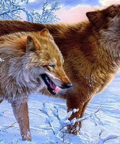 Snow Wolves Paint By Numbers