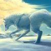 White Wolf Paint By Numbers