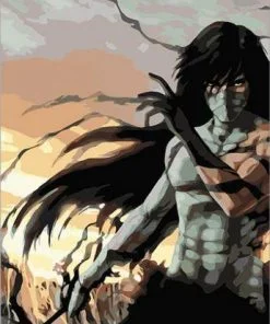 Bleach Kurosaki Ichigo Paint By Numbers