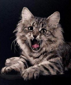 Angry Cat Paint By Numbers