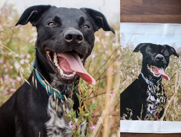 Paint by number your dog Custom paint by numbers Numeral Paint Kit