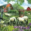 Sheep Farm Paint By Numbers