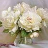White Peonies Vase Paint By Numbers