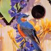 garden bluebirds paint by numbers
