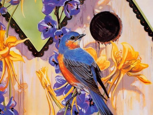 Blue Bird PAINT by NUMBER Kit for Adults ,nature Scenery White