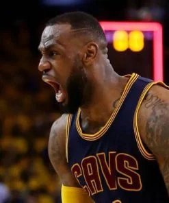Lebron James Cavaliers Paint By Numbers