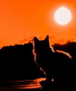 Cat Silhouette Paint By Numbers