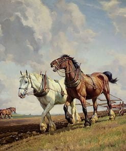 Horse Ploughing Animals Paint By Numbers