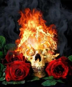 Fire Skull And Roses Paint By Numbers