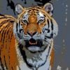 Siberian Tiger Paint By Numbers