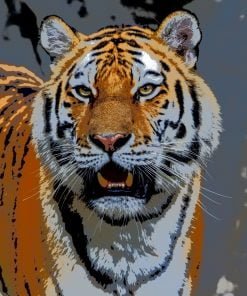 Siberian Tiger Paint By Numbers