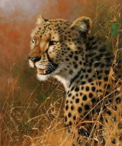 African Cheetah paint by numbers