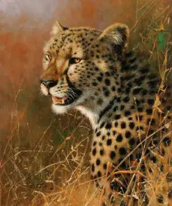African Cheetah paint by numbers
