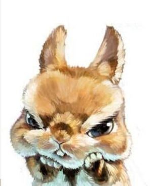 Angry Rabbit Paint By Numbers