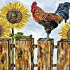 Cock With Sunflowers Paint By Numbers