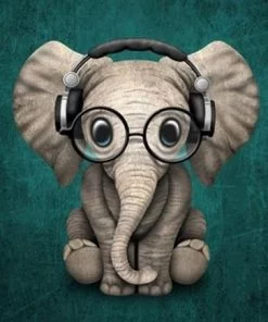 Elephant And Headphones Paint By Numbers