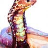 Cobra Snake Paint By Numbers