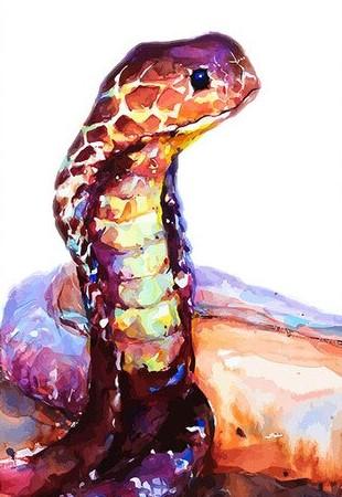 Brown Snake - Animals Paint By Number - Numeral Paint