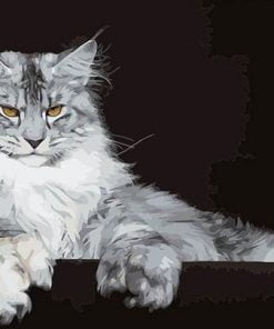 Maine Coon Cat Paint By Numbers