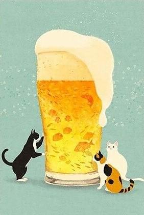 Cats Hover Around A Beer Cup Animals Paint By Number Numeral Paint