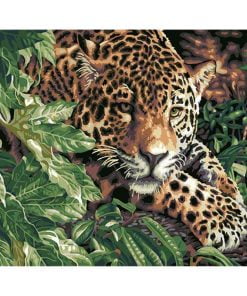 Wild Leopard Paint By Numbers
