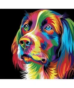 Colorful Dog Paint By Numbers