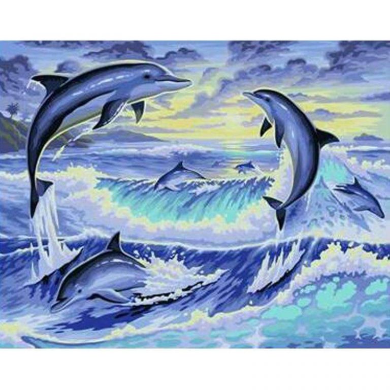 Jumping Dolphins Paint By Numbers Numeral Paint Kit