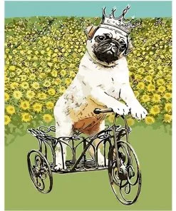 Pug Riding Tricycle Paint By Numbers