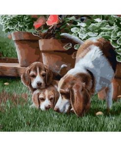 Dog And Puppies Paint By Numbers