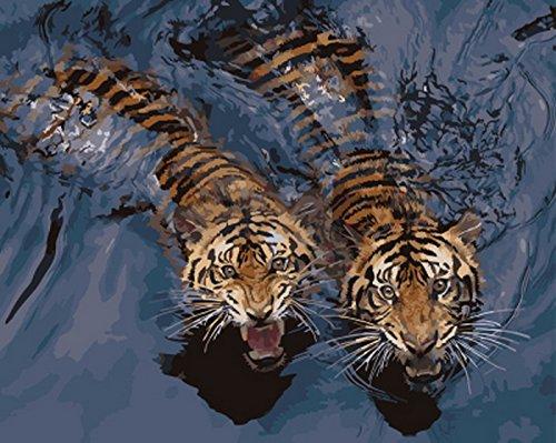 Tiger With Reflection In Water Paint by Numbers - Paint My Numbers