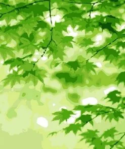 Green Tree Leaves Paint By Numbers