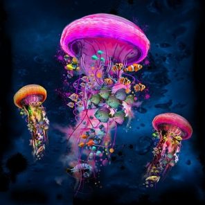 Colorful Jellyfishes Paint By Numbers
