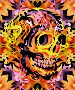 Bohemian Skull Abstract Paint By Numbers