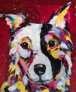 Border Collie Dog Paint By Numbers
