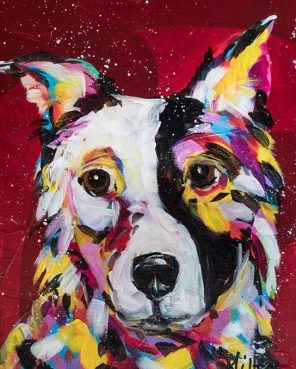 Border Collie Dog Paint By Numbers - Numeral Paint Kit