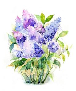Lilac Blossom Paint By Numbers
