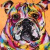 Colorful Bulldog Paint By Numbers