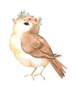 Carolina Wren Paint By Numbers