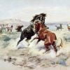 Wild Horse Fight Paint By Numbers