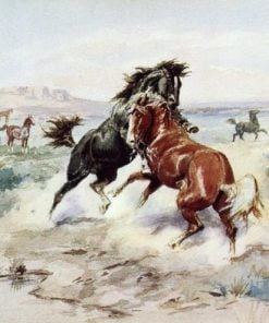 Wild Horse Fight Paint By Numbers