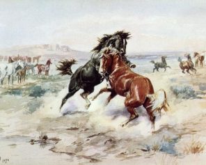 Wild Horse Fight Paint By Numbers