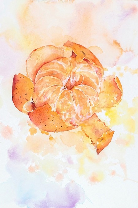 Clementine Fruit Paint By Numbers