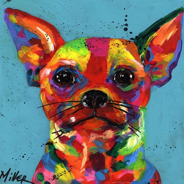 Colorful Chihuahua Paint by numbers