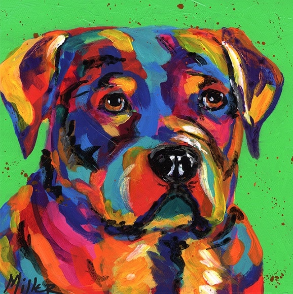 Colorful Boxer Dog Paint By Numbers - Numeral Paint Kit