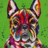 Colorful French Bulldog Paint By Numbers