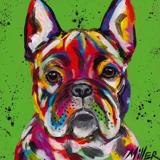 paint by numbers french bulldog